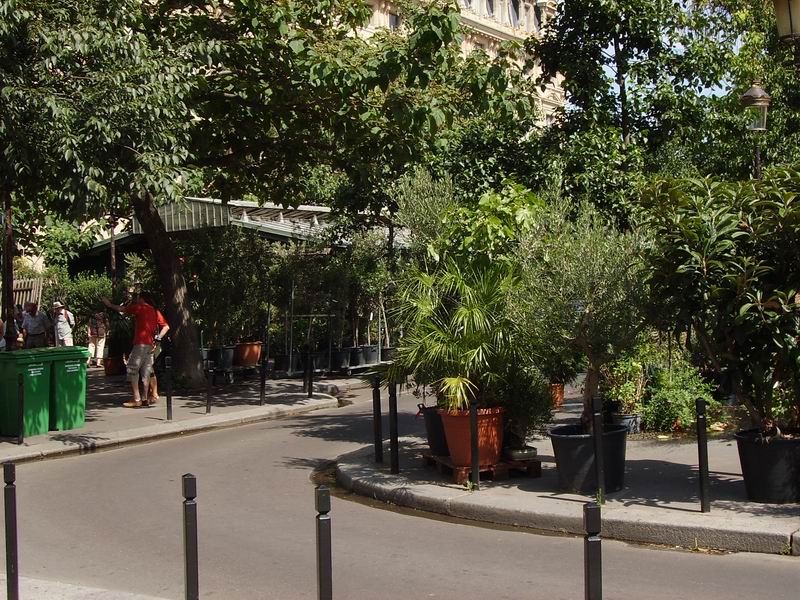 Marche aux fleurs ile de la cite