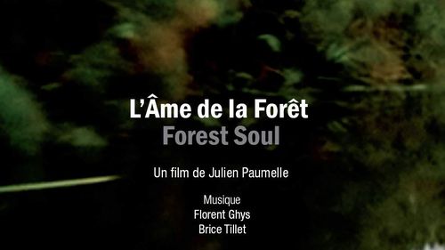 L'ame de la foret julien paumelle